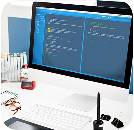 Web Development